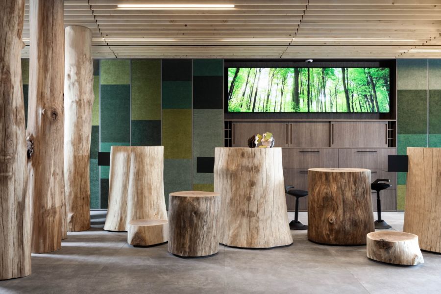 Modernly designed room with tree trunks of varying heights for standing and sitting.